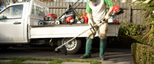Honda Profi Freischneider UMK435