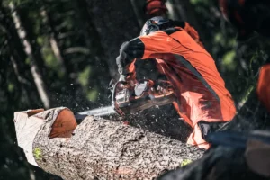Husqvarna Profi Motorsäge 540 iXP