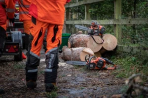 Husqvarna Profi Motorsäge 540 iXP