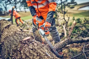Husqvarna Profi Motorsäge 542 iXP